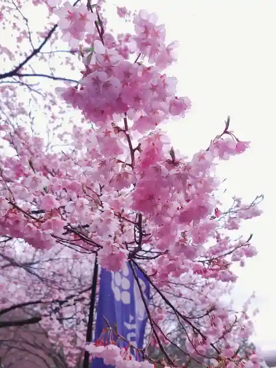 土津神社|こどもと出世の神さまの自然