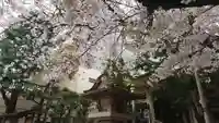 猿江神社の自然