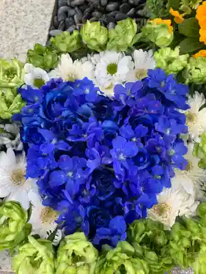 彌都加伎神社の手水舎