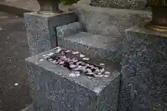 高祖寺のお墓