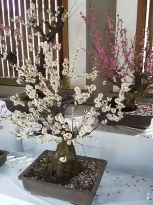 湯島天満宮のその他建物