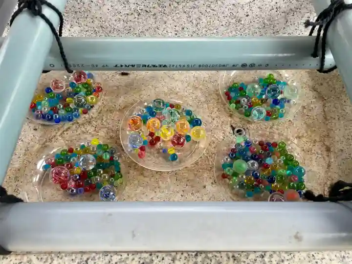 諏訪神社の{uncategorized: "未分類", other: "その他", undefined: "問題あり", building: "その他建物", grave: "お墓", sacred_gate: "鳥居", guardian: "狛犬", statue: "像", buddha: "仏像", history: "歴史", nature: "自然", garden: "庭園", animal: "動物", pagoda: "塔", temizu: "手水舎", mountain_gate: "山門・神門", sanctuary: "本殿・本堂", subordinate: "末社・摂社", art: "芸術", scenery: "景色", jizo: "地蔵", ema: "絵馬", goshuin: "御朱印", omikuji: "おみくじ", items: "授与品その他", amulet: "お守り", goshuincho: "御朱印帳", eats: "食事", festival: "お祭り", votive_dance: "神楽", shichigosan: "七五三参", wedding: "結婚式", experience: "体験その他", initially: "初詣", around: "周辺", anti_infection: "感染症対策"}