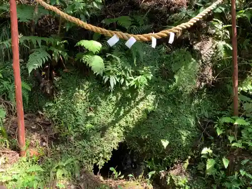 常磐神社の自然