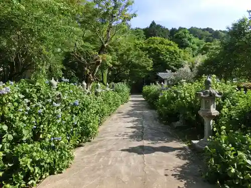 観音寺のその他建物