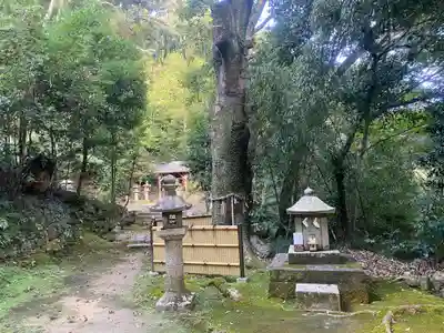 信達神社(大阪府)