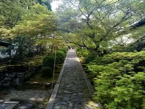 酬恩庵一休寺の庭園