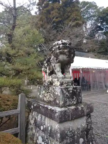 出雲大神宮の狛犬