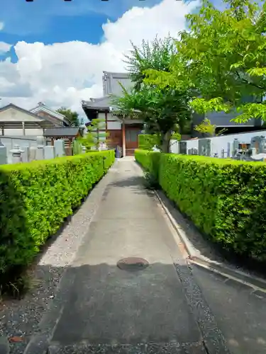 光照寺(京都府)