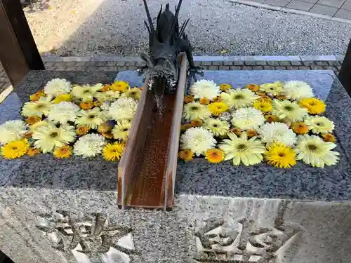 川越八幡宮の手水