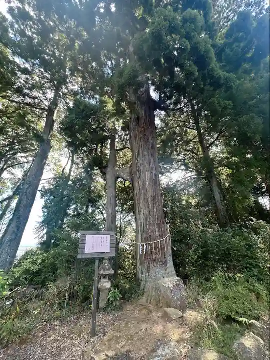 熊野那智神社(宮城県)
