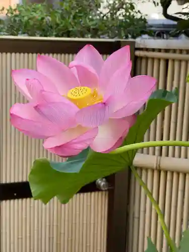 梅香寺(三重県)