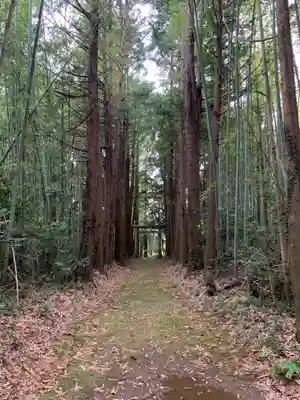 星宮神社(千葉県)