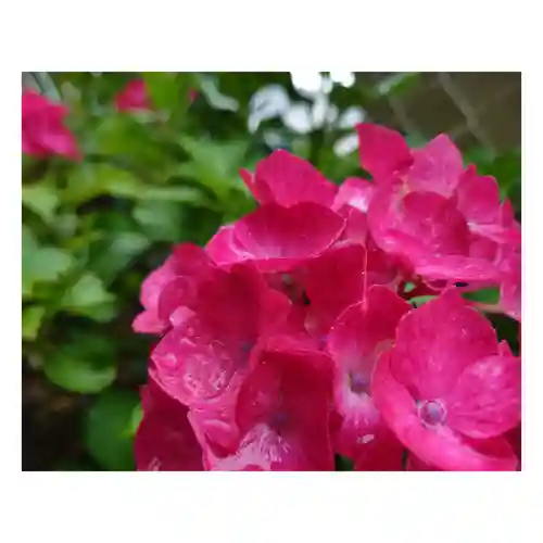 岐阜稲荷山本社(岐阜県)