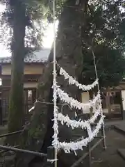 熊川神社(東京都)