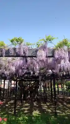 相馬神社(北海道)