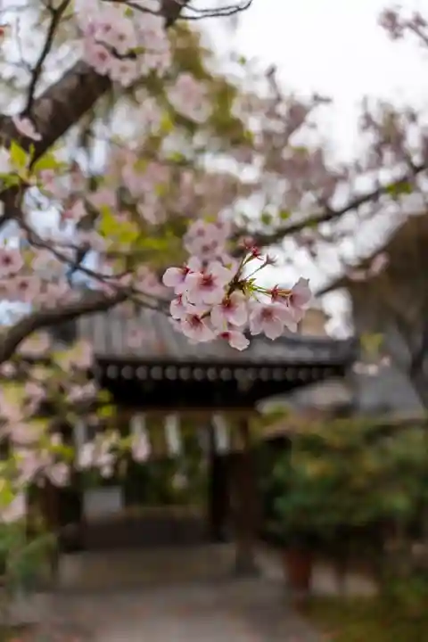 豊崎神社の自然