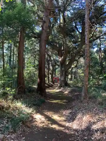 諏訪神社(千葉県)