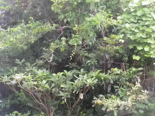 安國論寺（安国論寺）の自然