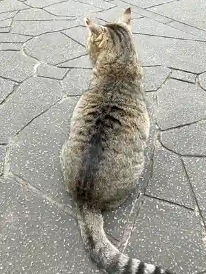 淨眞寺(東京都)