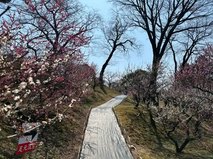 岩津天満宮の自然