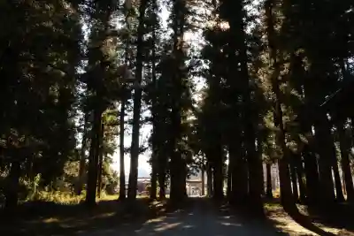 宇都宮神社（下彦間町）(栃木県)