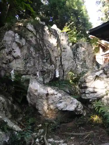 鹿島大神宮の自然