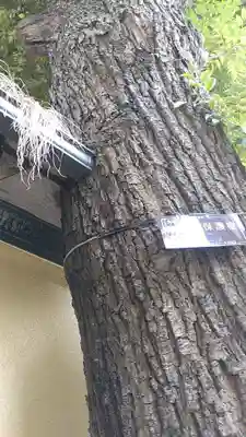 大森山王日枝神社(東京都)