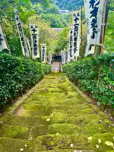 杉本寺の自然