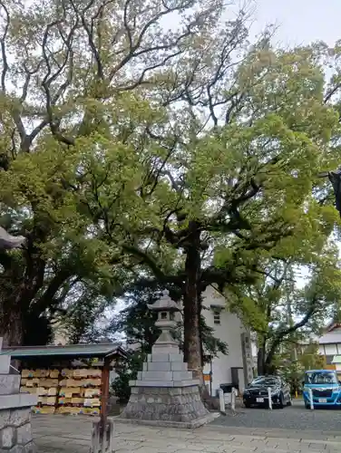 加納天満宮(岐阜県)