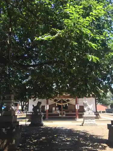 結城諏訪神社のその他建物