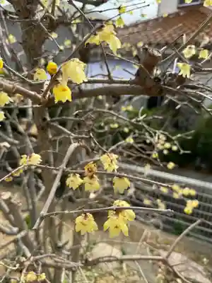 常真寺(千葉県)