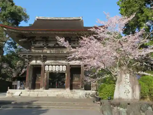 園城寺（三井寺）(滋賀県)