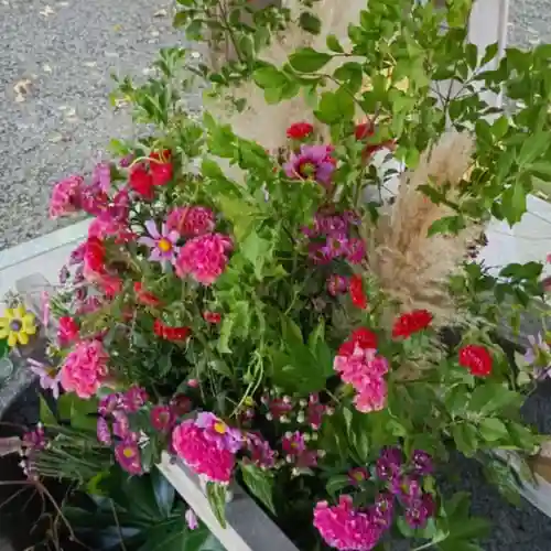 彌彦神社　(伊夜日子神社)(北海道)