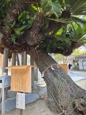 鳥飼八幡宮(福岡県)