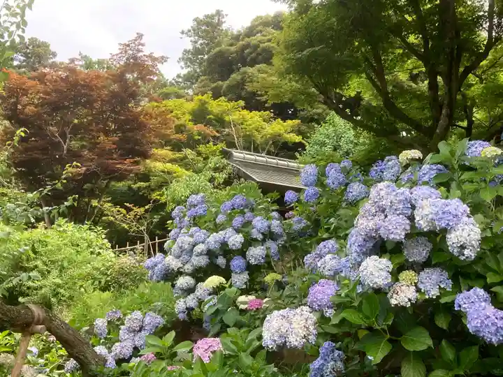 本土寺(千葉県)