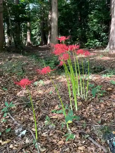 乃木神社(栃木県)
