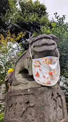 菊田神社の狛犬