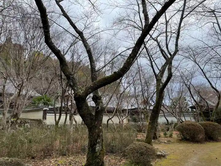 勝持寺(花の寺)(京都府)