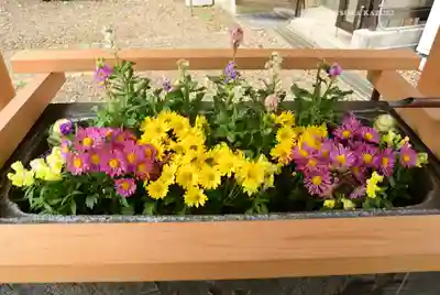 上目黒氷川神社(東京都)