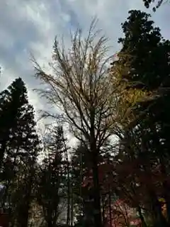 日枝神社(岐阜県)