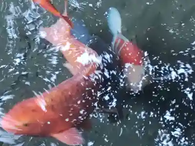 鹿島神宮(茨城県)