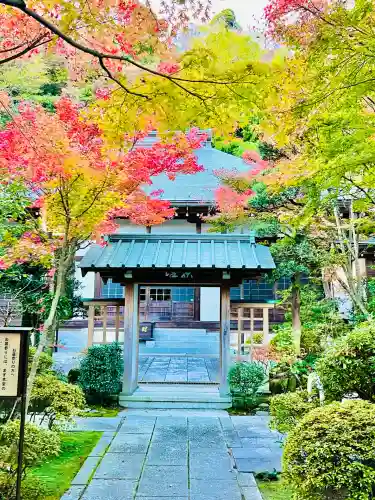 龍峰院(神奈川県)