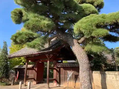 遍照寺の山門