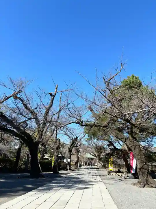 三嶋大社(静岡県)