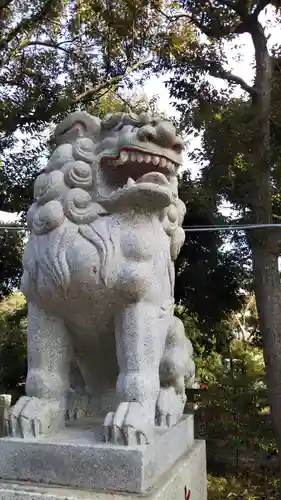 菊田神社の狛犬