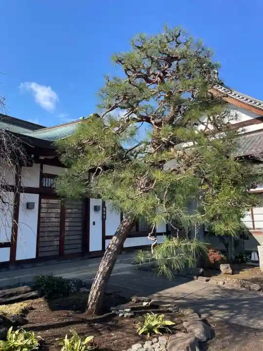 瑞円寺の{uncategorized: "未分類", other: "その他", undefined: "問題あり", building: "その他建物", grave: "お墓", sacred_gate: "鳥居", guardian: "狛犬", statue: "像", buddha: "仏像", history: "歴史", nature: "自然", garden: "庭園", animal: "動物", pagoda: "塔", temizu: "手水舎", mountain_gate: "山門・神門", sanctuary: "本殿・本堂", subordinate: "末社・摂社", art: "芸術", scenery: "景色", jizo: "地蔵", ema: "絵馬", goshuin: "御朱印", omikuji: "おみくじ", items: "授与品その他", amulet: "お守り", goshuincho: "御朱印帳", eats: "食事", festival: "お祭り", votive_dance: "神楽", shichigosan: "七五三参", wedding: "結婚式", experience: "体験その他", initially: "初詣", around: "周辺", anti_infection: "感染症対策"}
