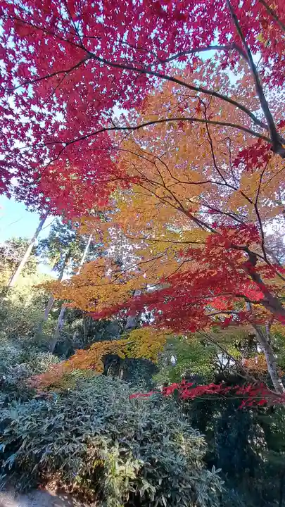 海住山寺(京都府)
