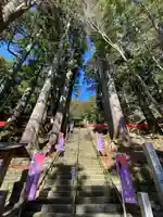 鳳来山東照宮(愛知県)