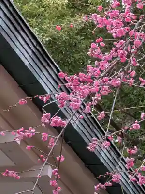 荻窪白山神社(東京都)