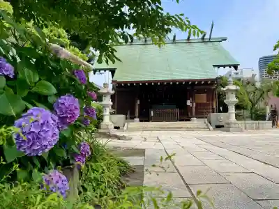 住吉神社(東京都)